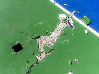 Surface Curing Process